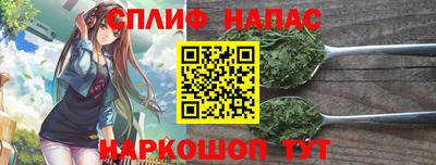 СК Беслан