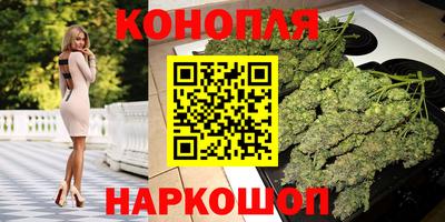 стаф Берёзовский