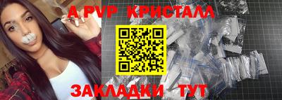 стаф Берёзовский