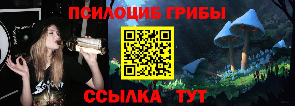 Псилоцибиновые грибы Psilocybine cubensis  Вход с VPN  купить наркотик  Кинель 